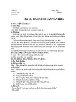 Bài 15. Bảo vệ di sản văn hoá