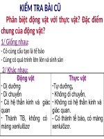 Bài 3. Thực hành: Quan sát một số động vật nguyên sinh