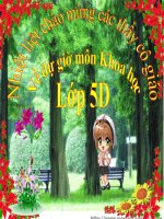 Bài 13. Phòng bệnh sốt xuất huyết