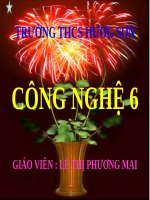 Bài 28. Thực hành: Xem băng hình về tập tính của sâu bọ
