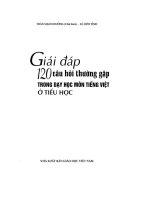 Giải đáp những thắc mắc trong dạy Tiếng Việt Tiểu Học