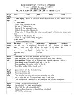 Giáo án 3T Tôi cần gì để lớn lên và khoẻ mạnh