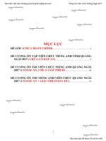 Giải chi tiết đề thi viên chức tiếng Anh tỉnh Quảng Ngãi 2017 (dành cho hệ Trung học phổ thông)