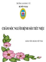 Chăm sóc người bệnh sỏi TIẾT NIỆU