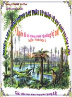 Bài 39. Quyết - Cây dương xỉ