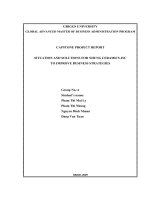 LV Thạc sỹ_Perfect the business strategy of Nhung Ceramics Joint Stock Company