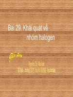 Bài 21. Khái quát về nhóm halogen