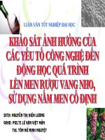 khảo sát ảnh hưởng của các yếu tố công nghệ đến động học quá trình lên men rượu vang nho, sử dụng nấm men cố định