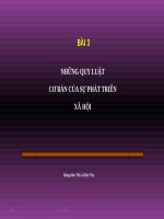 CHÍNH TRỊ CAO ĐẲNG NGHỀ. CÁC QUY LUẬT XÃ HỘI CƠ  BẢN