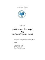 Tiểu luận môn luật lao động thời giờ làm việc và thời giờ nghỉ ngơi 