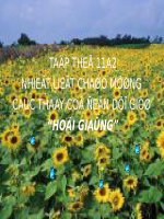 Bài 53. Kính hiển vi