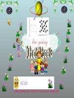 Bài 44. Bài luyện tập 8