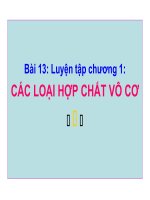 Bài 13. Luyện tập chương 1: Các loại hợp chất vô cơ