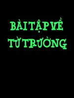 Bài 30. Bài tập về từ trường