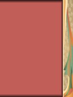 Bài 10. Tính tương đối của chuyển động. Công thức cộng vận tốc