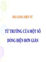 Bài 29. Từ trường của một số dòng điện có dạng đơn giản