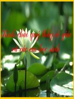 Bài 43. Bài tập về cảm ứng điện từ