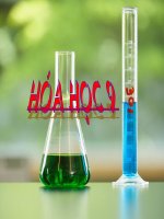 Bài 23. Thực hành: Tính chất hoá học của nhôm và sắt