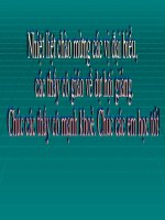 Bài 41. Tia X. Thuyết điện từ ánh sáng. Thang sóng điện từ