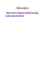 Bài 23. Thực hành: Tính chất hoá học của nhôm và sắt