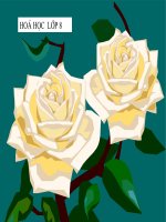 Bài 27. Điều chế khí oxi - Phản ứng phân huỷ