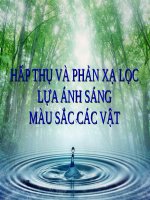 Bài 48. Hấp thụ và phản xạ lọc lựa ánh sáng. Màu sắc các vật