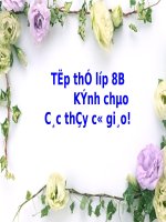 Bài 42. Nồng độ dung dịch