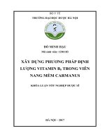 Xây dựng phương pháp định lượng vitamin b5 trong viên nang mềm carmanus 