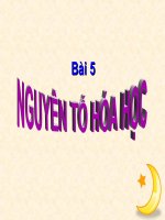 Bài 5. Nguyên tố hoá học