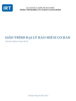 GIÁO TRÌNH ĐẠI LÝ BẢO HIỂM CƠ BẢN