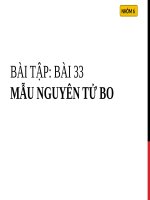 Bài 33. Mẫu nguyên tử Bo