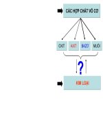 Bài 24. Ôn tập học kì 1