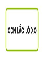 Bài 2. Con lắc lò xo