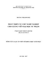 Phát triển tự chủ nghề nghiệp cho giảng viên đại học sư phạm