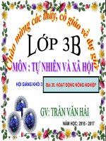 Bài 30. Hoạt động nông nghiệp