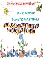 Bài 30. Bài tập vận dụng quy tắc nắm tay phải và quy tắc bàn tay trái