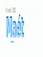 Bài 31. Mắt
