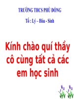Bài 45. Ảnh của một vật tạo bởi thấu kính phân kì