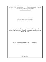 Khảo nghiệm xuất xứ, chọn giống và nhân giống tràm có hàm lượng và chất lượng tinh dầu cao tại ba vì   hà nội 