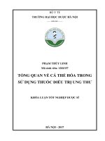 Tổng quan về cá thể hóa trong sử dụng thuốc điều trị ung thư 