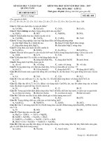 Đề thi HK 2 môn Hoá học lớp 12 năm 20162017  Đề 405 