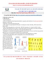 2  cấu TRÚC NST và đb NST 