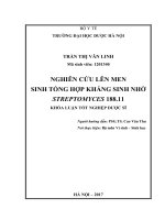 Nghiên cứu lên men sinh tổng hợp kháng sinh nhờ streptomyces 188 11 