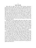 Hiệu quả chế độ dinh dưỡng giàu lipid trong điều trị bệnh nhân đợt cấp bệnh phổi tắc nghẽn mạn tính thở máy (tt)