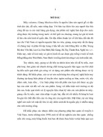 Nghiên cứu công nghệ bảo quản mây (calamus), giang (macclurochloa) làm hàng thủ công mỹ nghệ 