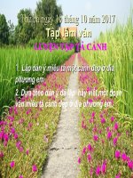 Tuần 8. Luyện tập tả cảnh (Dựng đoạn mở bài, kết bài)