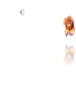 Tuần 4. Nghe-viết: Anh Bộ đội Cụ Hồ gốc Bỉ