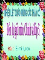 Tuần 6. Nhớ-viết: Ê-mi-li, con....