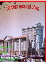 Bài 23. Thực hành: Tính chất hoá học của nhôm và sắt