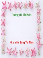 Tuần 7. Trung thu độc lập